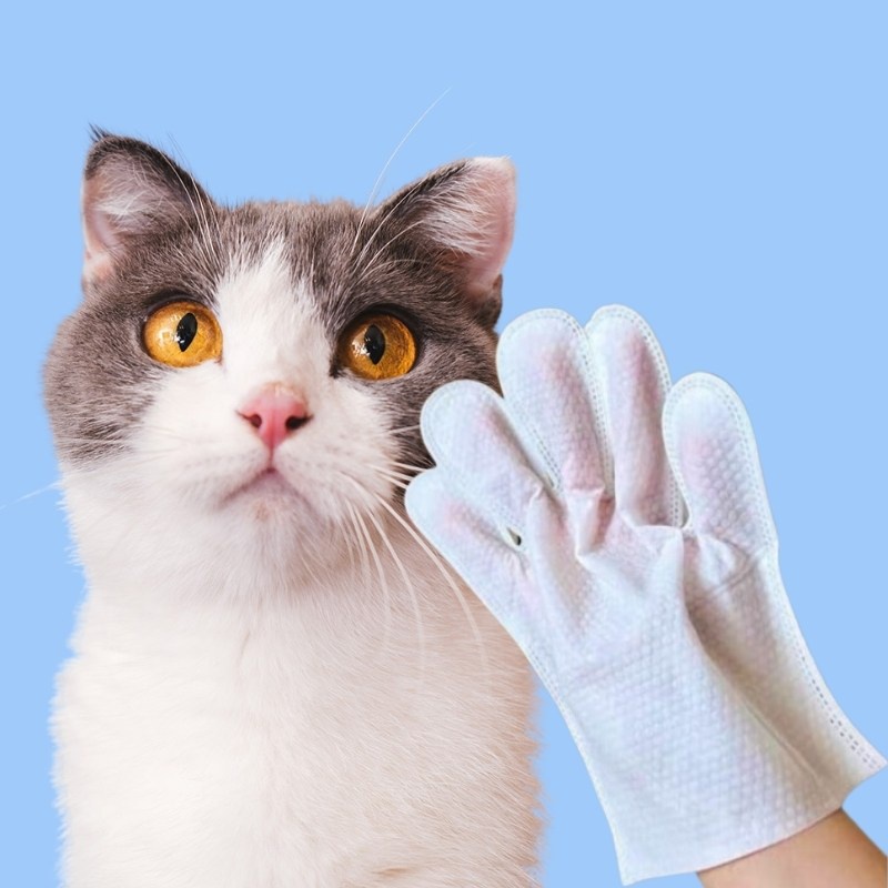 Toallitas de guantes para mascotas seca limpia húmeda